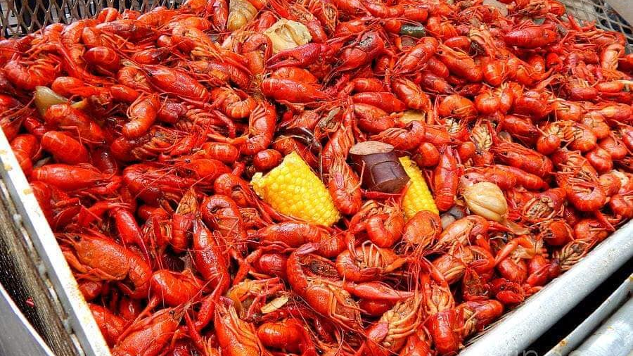 Smiths Seafood Company | restaurant | 1102 US Hwy 72 E unit a, Athens, AL 35611, USA | 2569985078 OR +1 256-998-5078