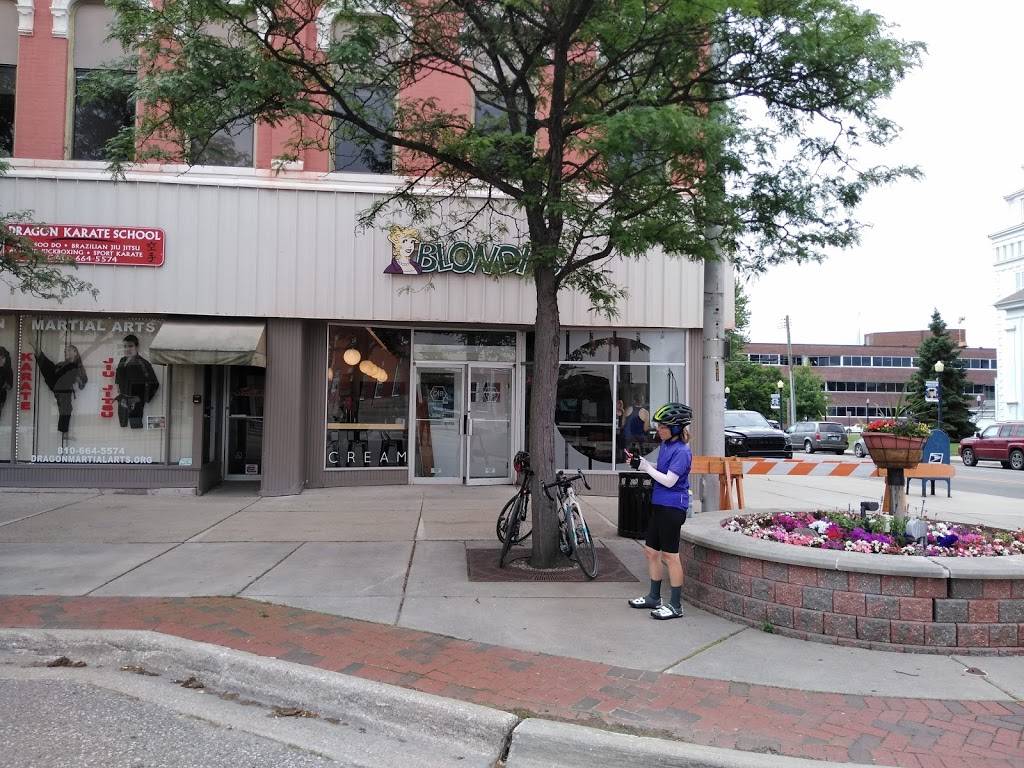 Dagwood Deli | meal takeaway | 193 W Nepessing St, Lapeer, MI 48446, USA | 8106647306 OR +1 810-664-7306