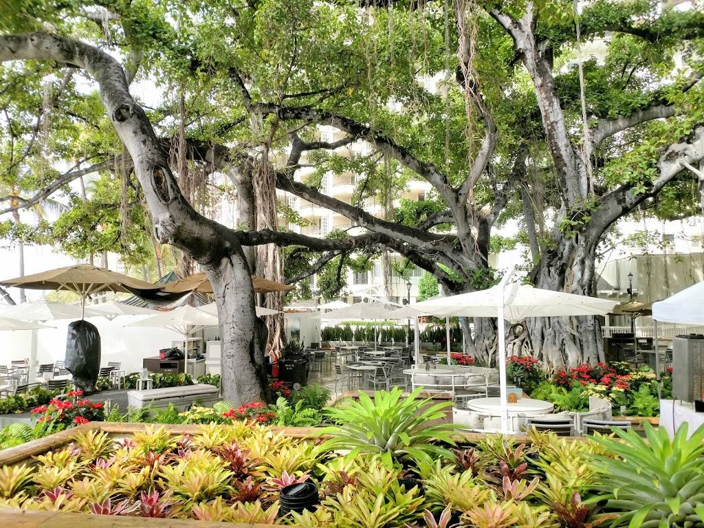 Veranda at the Beachhouse | restaurant | 2365 Kalakaua Ave, Honolulu, HI 96815, USA | 8089214600 OR +1 808-921-4600