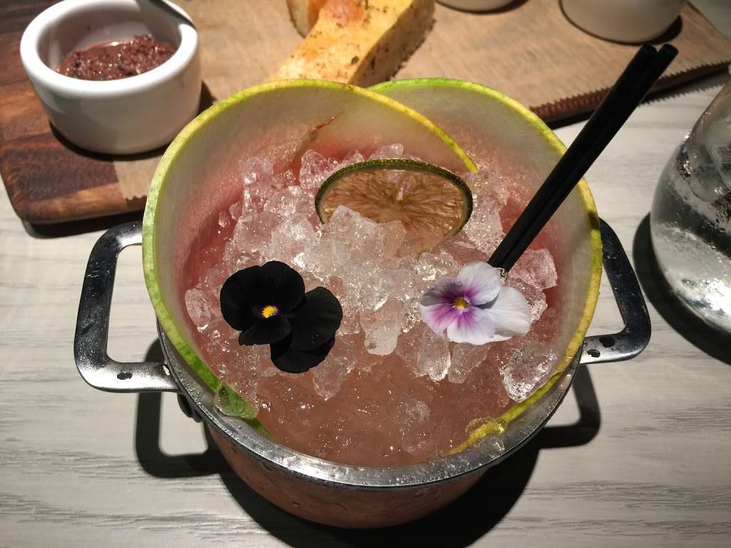 Zucca | restaurant | 162 Alcazar Ave, Coral Gables, FL 33134, USA | 7865803731 OR +1 786-580-3731