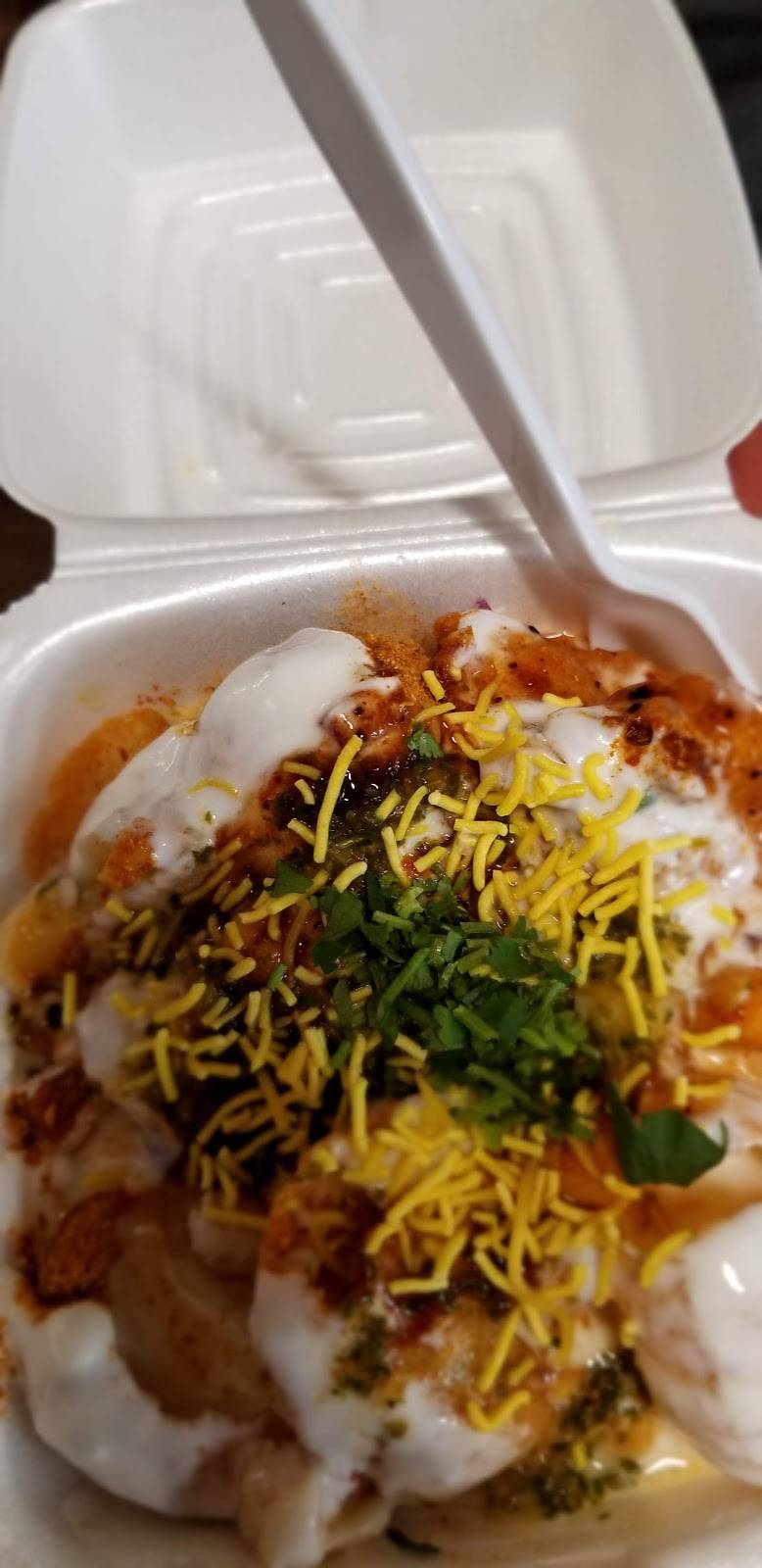 Delhi Style food | restaurant | 870 S Sun Dr, Lake Mary, FL 32746, USA | 8479717660 OR +1 847-971-7660