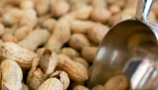 Five Guys | meal takeaway | 1207 Washington St, Hanover, MA 02339, USA | 7818296770 OR +1 781-829-6770