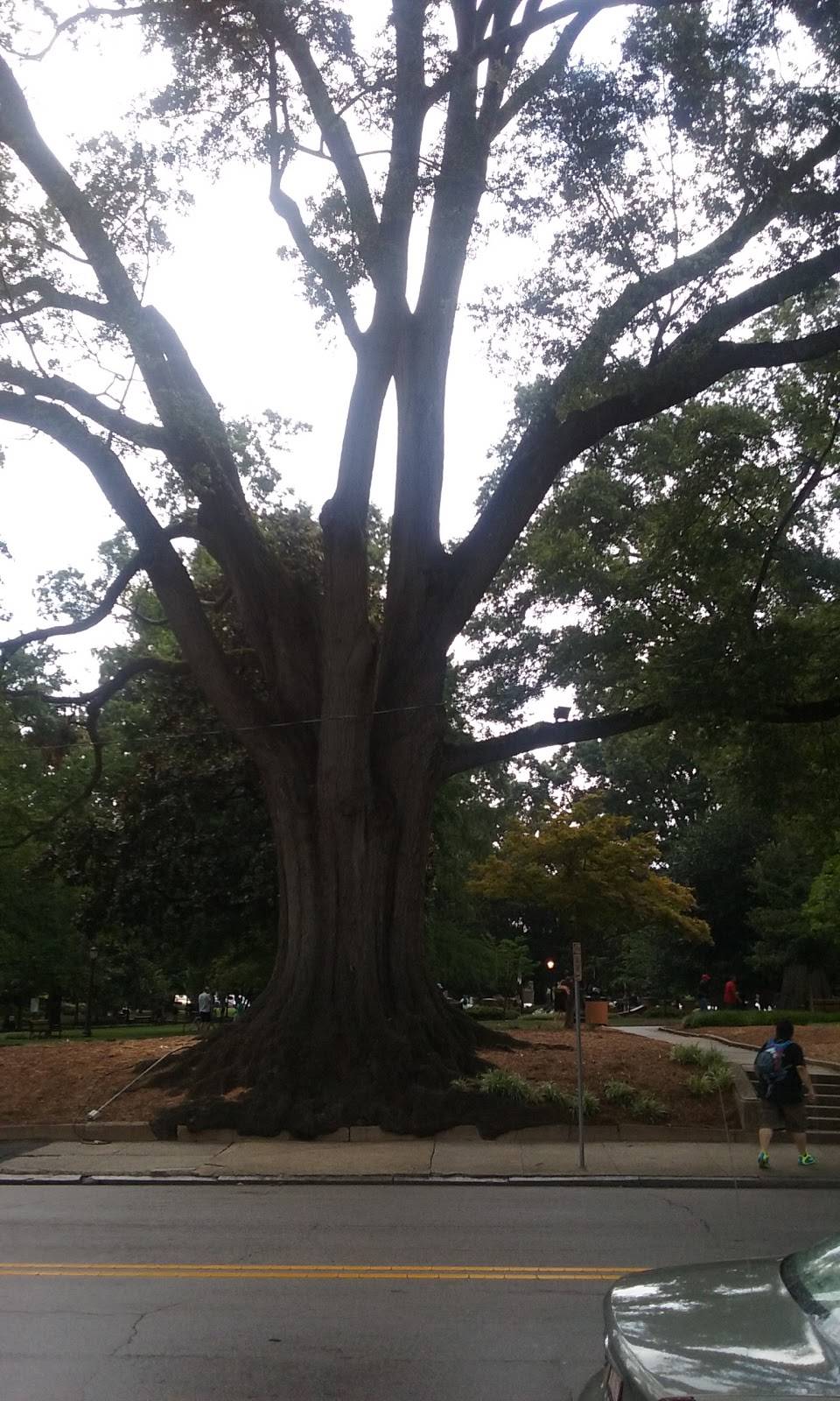 Berkeley Cafe | cafe | 217 W Martin St, Raleigh, NC 27601, USA | 9198289190 OR +1 919-828-9190