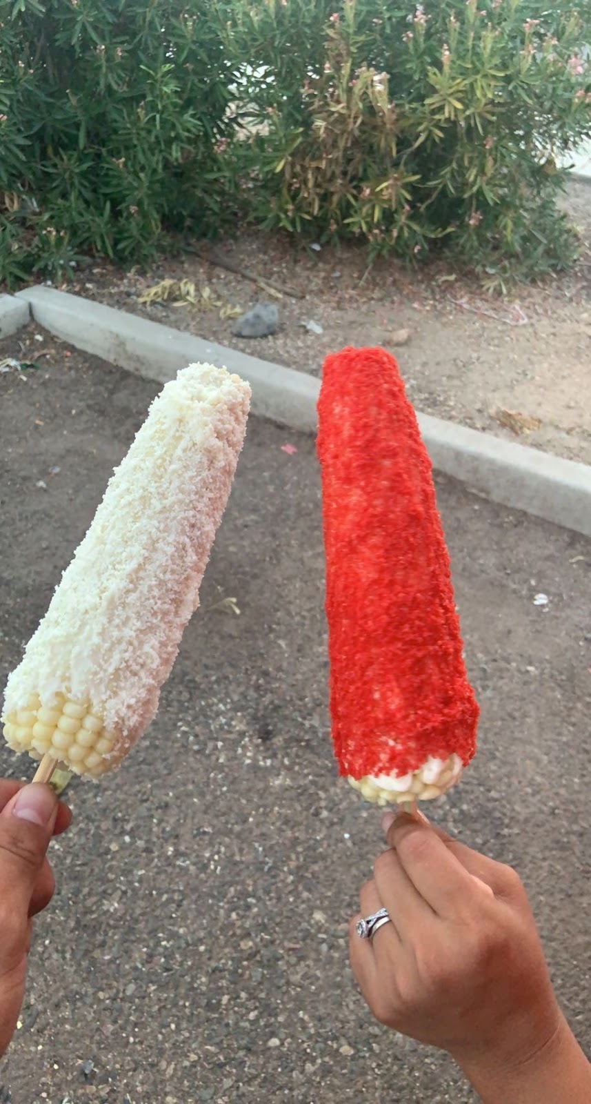 Elotes mis pasias | restaurant | 9184 W Northern Ave, Glendale, AZ 85305, USA | 6028199102 OR +1 602-819-9102
