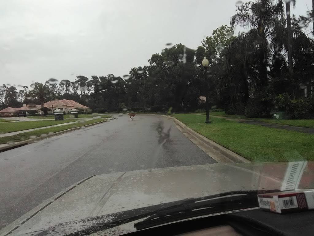 Heathrow COUNTRY CLUB | restaurant | 2100 Bridgewater Dr, Heathrow, FL 32746, USA | 4073331450 OR +1 407-333-1450