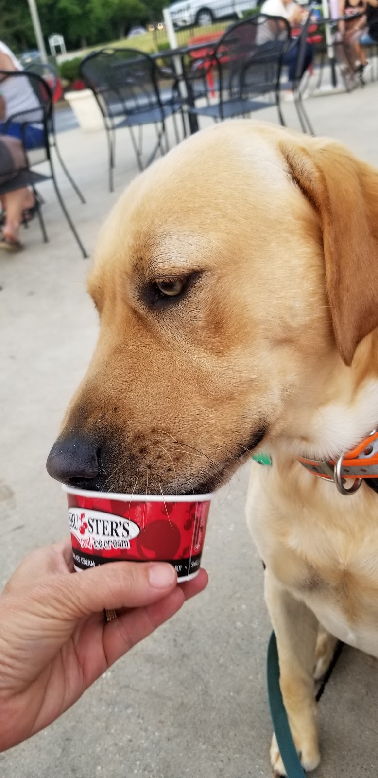 Brusters Real Ice Cream | bakery | 1850 Woodruff Rd, Greenville, SC 29607, USA | 8642817751 OR +1 864-281-7751