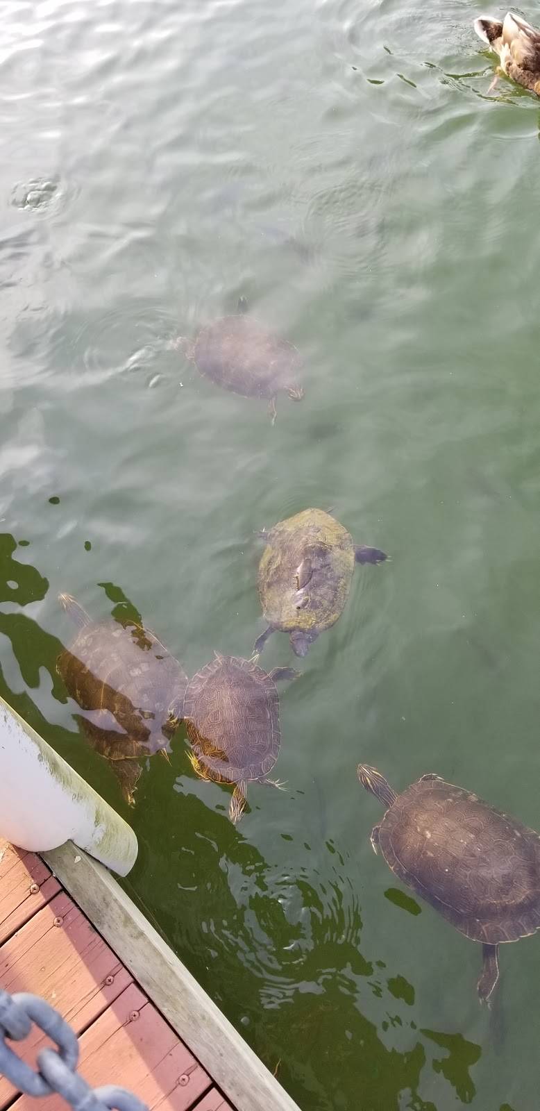 The Galley Restaurant at Edgar Evins Marina | restaurant | 2100 Edgar Evins State Park Rd, Silver Point, TN 38582, USA | 9318582424 OR +1 931-858-2424