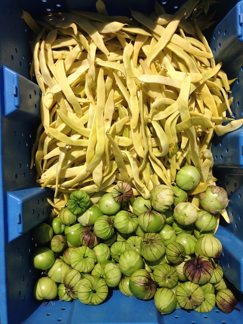 Three Sacks Full | restaurant | 4857 Rainier Ave S, Seattle, WA 98118, USA | 4156665742 OR +1 415-666-5742