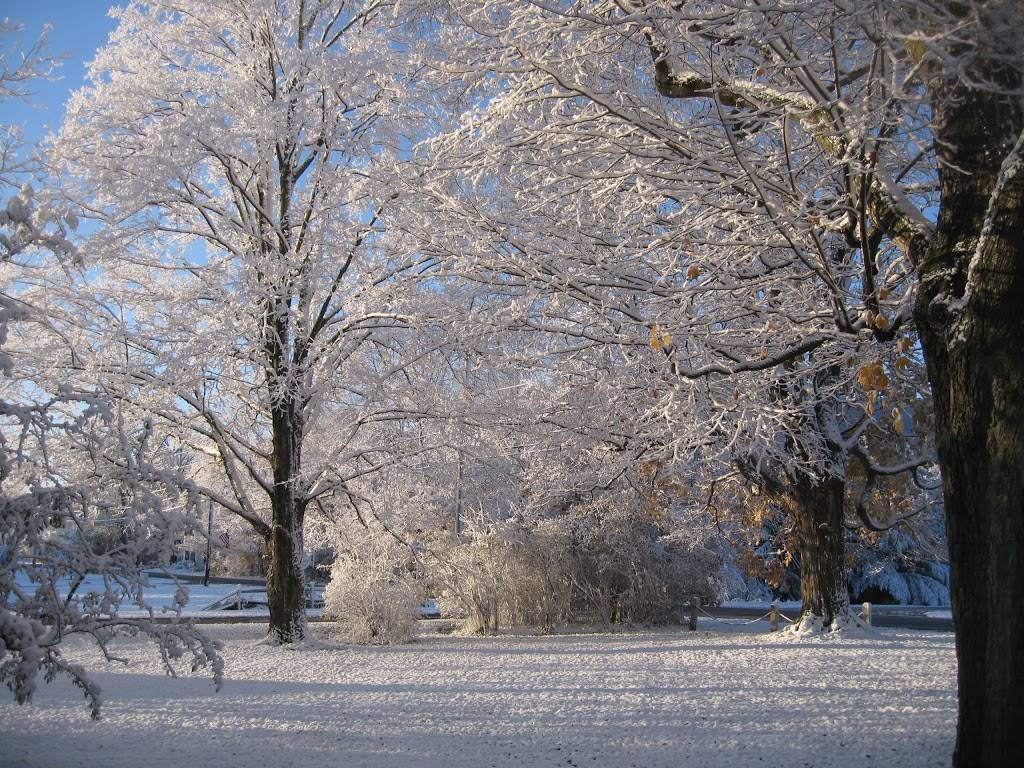 Inn at West View Farm | restaurant | 2928 VT-30, Dorset, VT 05251, USA | 8028675715 OR +1 802-867-5715