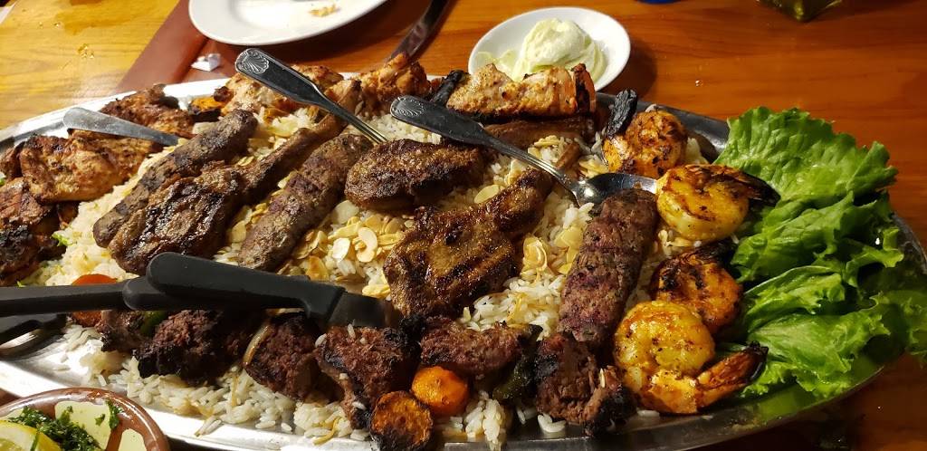 Palm Palace | restaurant | 2370 Carpenter Rd, Ann Arbor, MI 48108, USA | 7346060706 OR +1 734-606-0706