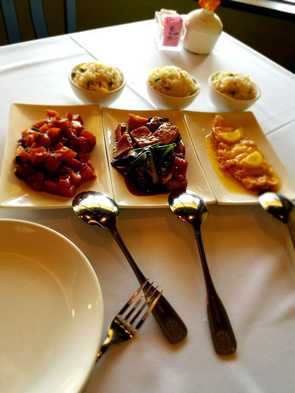 TELYS Chinese Restaurant | restaurant | 6450 N Wickham Rd #112, Melbourne, FL 32940, USA | 3214254638 OR +1 321-425-4638