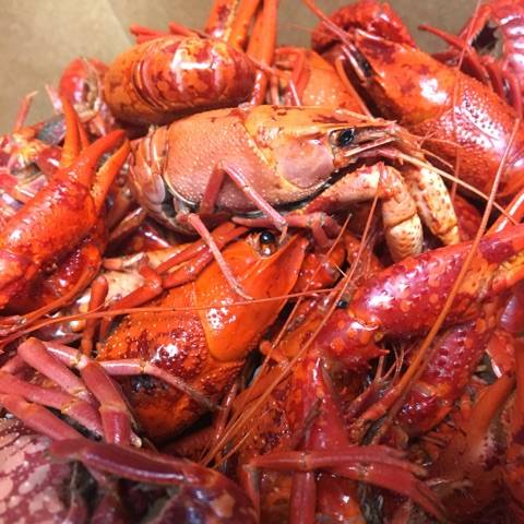 The Crab Stop | restaurant | 1405 Sulphur Spring Rd, Arbutus, MD 21227, USA | 4102421394 OR +1 410-242-1394