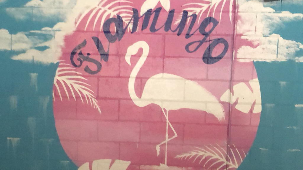 Flamingo’s Mexican Cantina | restaurant | 2305 Chapman Hwy, Sevierville, TN 37876, USA | 8652869705 OR +1 865-286-9705