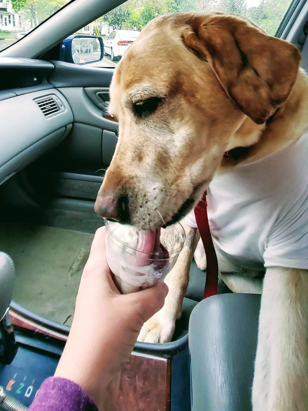 Dairy Queen | restaurant | 1221 Broadway St S, Menomonie, WI 54751, USA | 7152352320 OR +1 715-235-2320