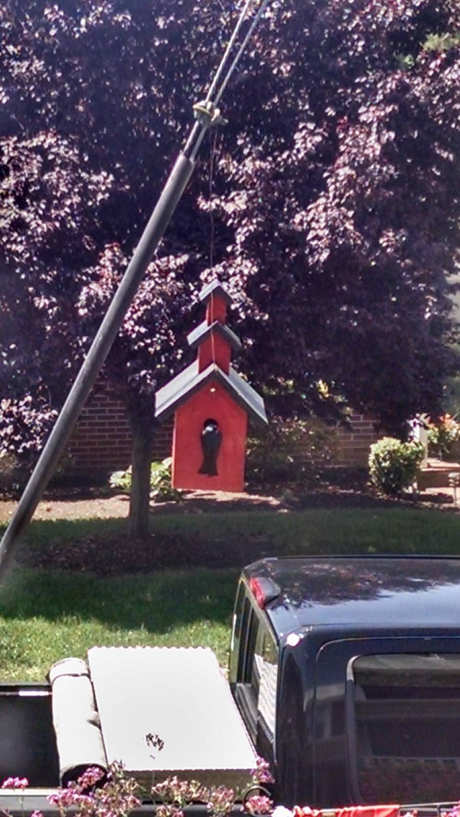 Subway | restaurant | 605 W 29th St, Buena Vista, VA 24416, USA | 5402611609 OR +1 540-261-1609