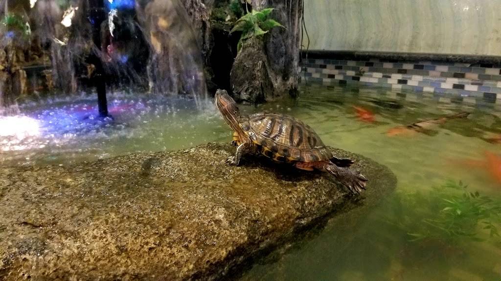 Mandarin Super Buffet | restaurant | 1501 W Bethany Home Rd, Phoenix, AZ 85015, USA | 6025898888 OR +1 602-589-8888