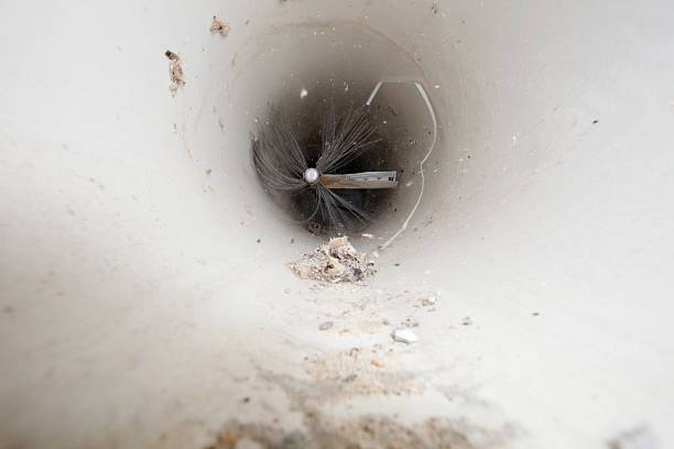 V. TCare | restaurant | 2558 Vía Tejon, Palos Verdes Estates, CA 90274, USA | 4243444217 OR +1 424-344-4217