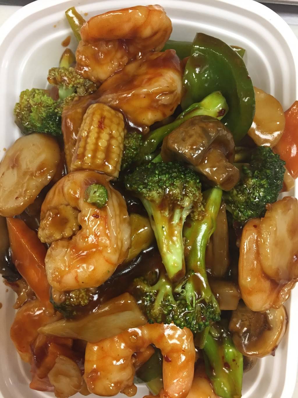 New China Restaurant | restaurant | 8900 N 56th St, Temple Terrace, FL 33617, USA | 8139148881 OR +1 813-914-8881