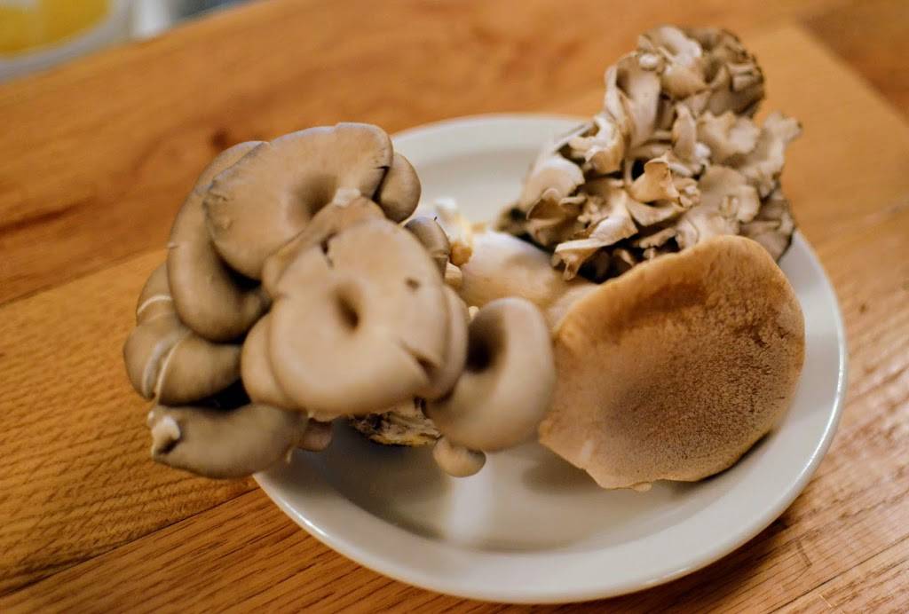 The Smiling Bison - Sanford | restaurant | 107 Magnolia Ave, Sanford, FL 32771, USA | 4079156086 OR +1 407-915-6086