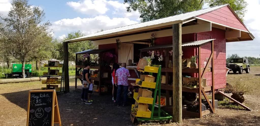Family farms inc.U-Pick |  | 14950 SW 14th St, Davie, FL 33326, USA | 9548042850 OR +1 954-804-2850