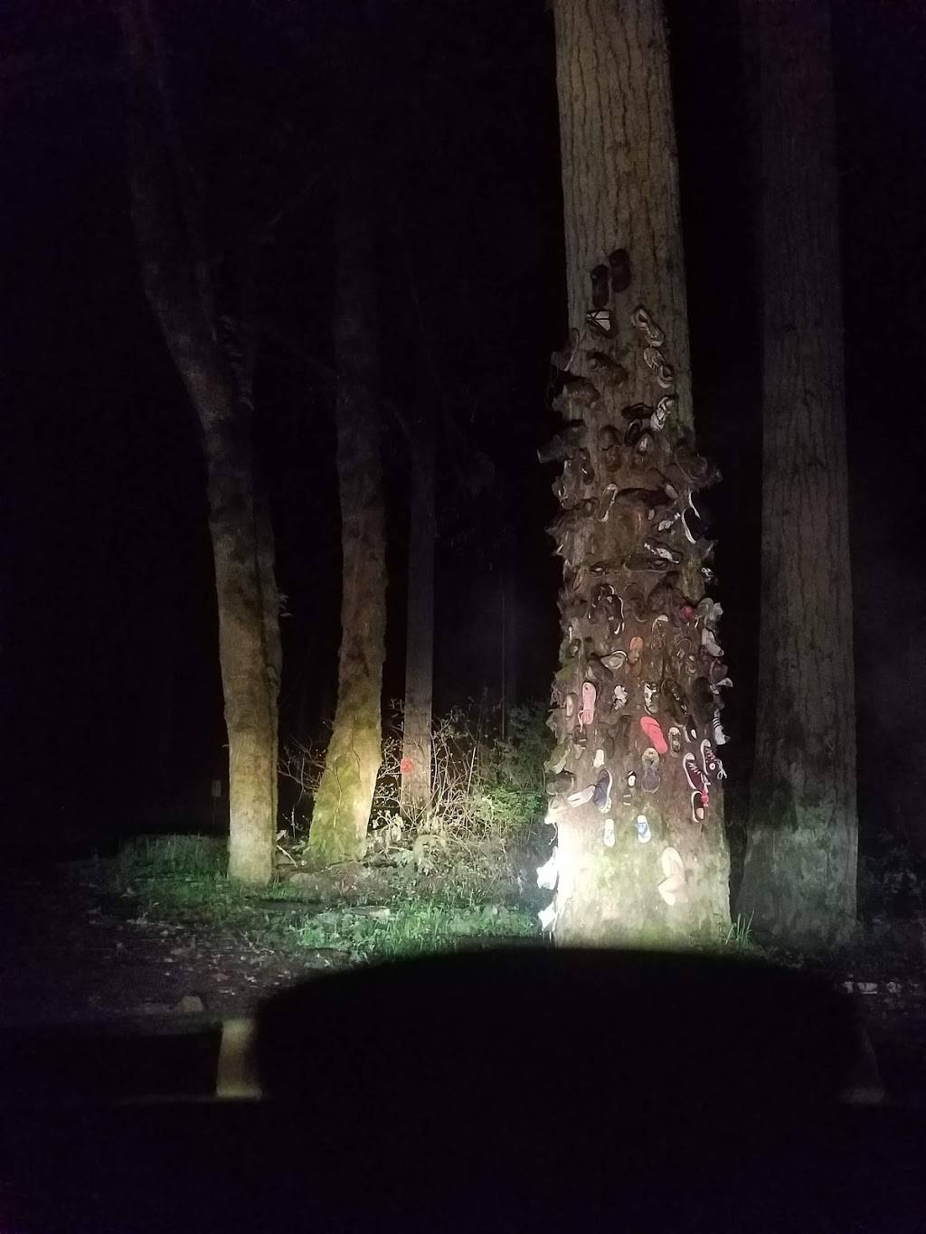 The Great Escape | bakery | 201 Bolstad Ave, Long Beach, WA 98631, USA | 3606423301 OR +1 360-642-3301