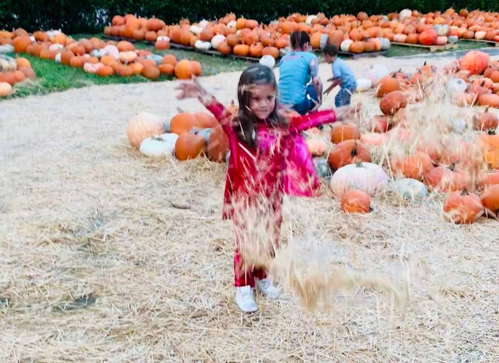 Mia’s | restaurant | 5337 N State Rd, 7, Tamarac, FL 33319, USA | 9543683489 OR +1 954-368-3489