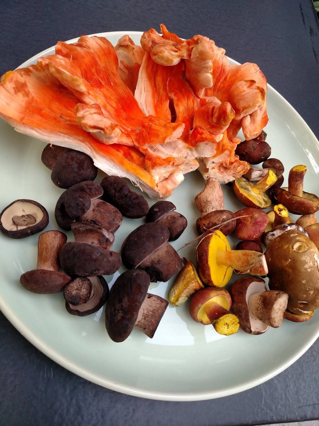 Vivo Kitchen | restaurant | 432 Beaver St, Sewickley, PA 15143, USA | 4122598945 OR +1 412-259-8945