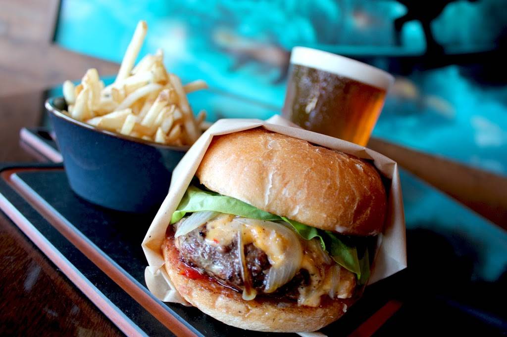 The Duck Dive | restaurant | 4650 Mission Blvd, San Diego, CA 92109, USA | 8582733825 OR +1 858-273-3825