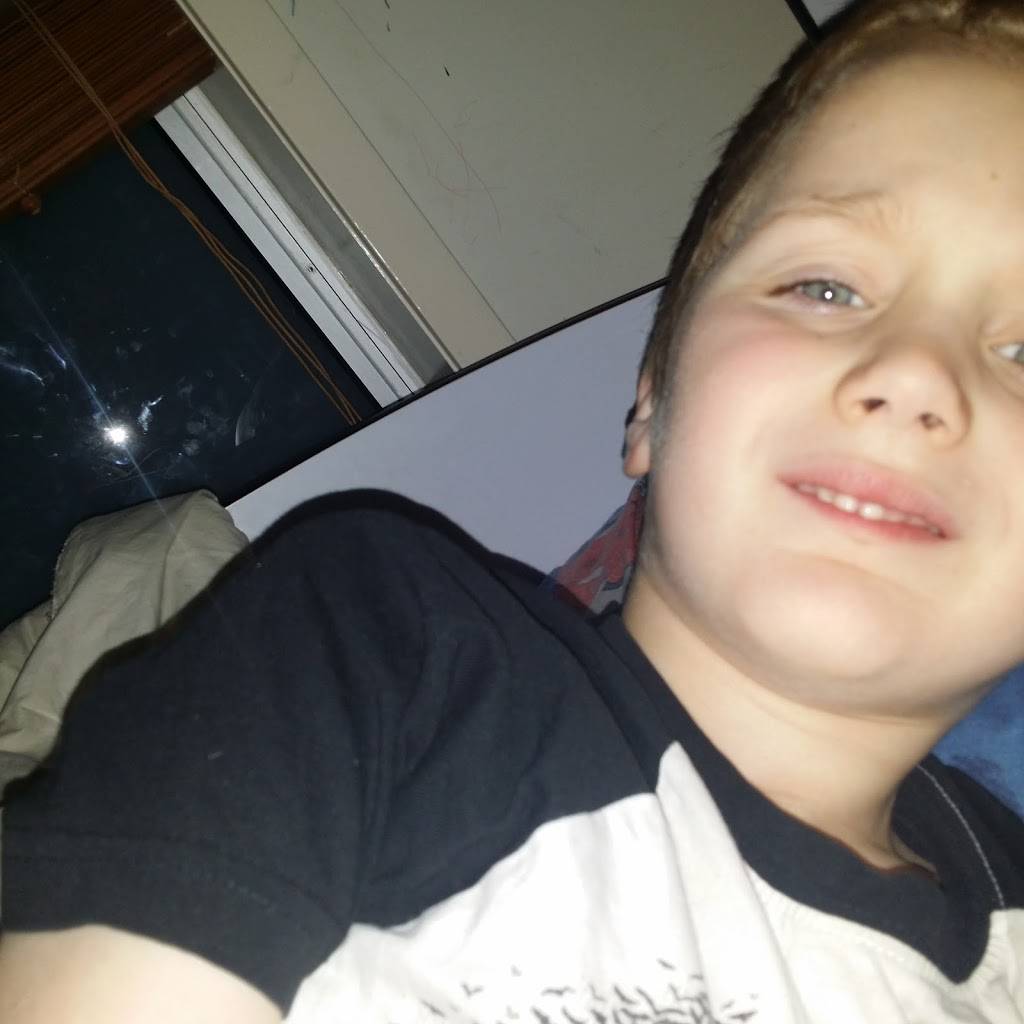 The Shady Dog | restaurant | Pittsburgh, PA 15224, USA | 4128185132 OR +1 412-818-5132