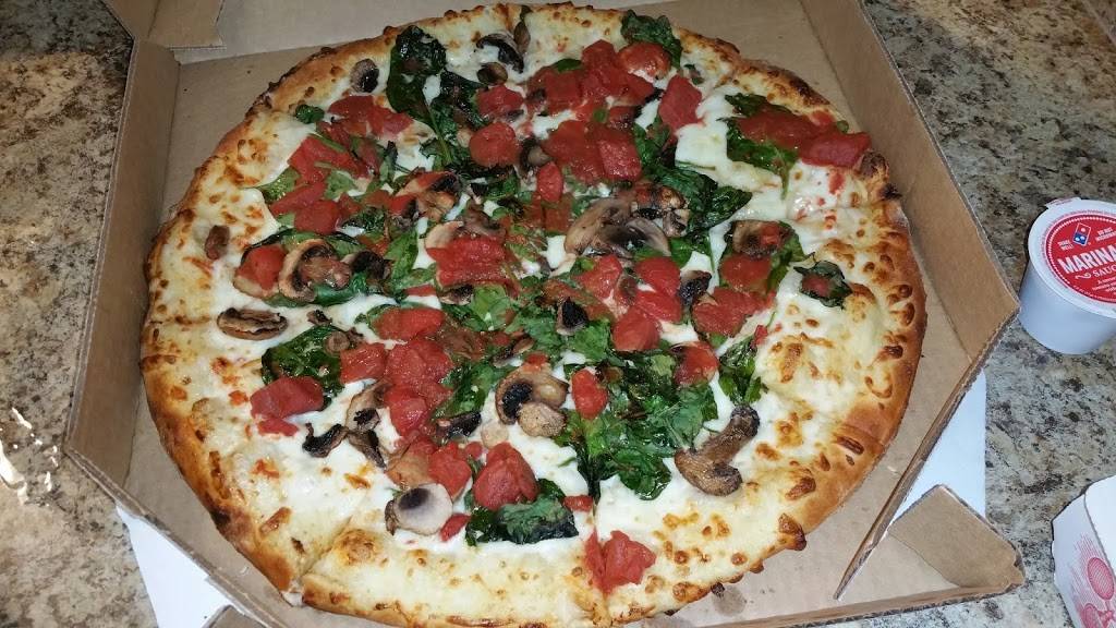 Dominos Pizza | meal delivery | 5811 Memorial Hwy Ste 101, Tampa, FL 33615, USA | 8138820023 OR +1 813-882-0023
