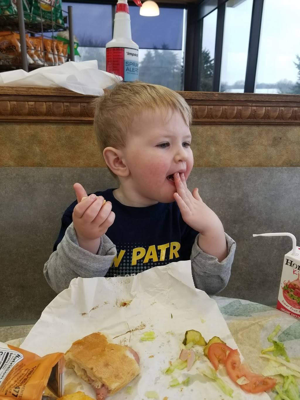 Subway | restaurant | 348 W 6th St, St Charles, MN 55972, USA | 5079323101 OR +1 507-932-3101