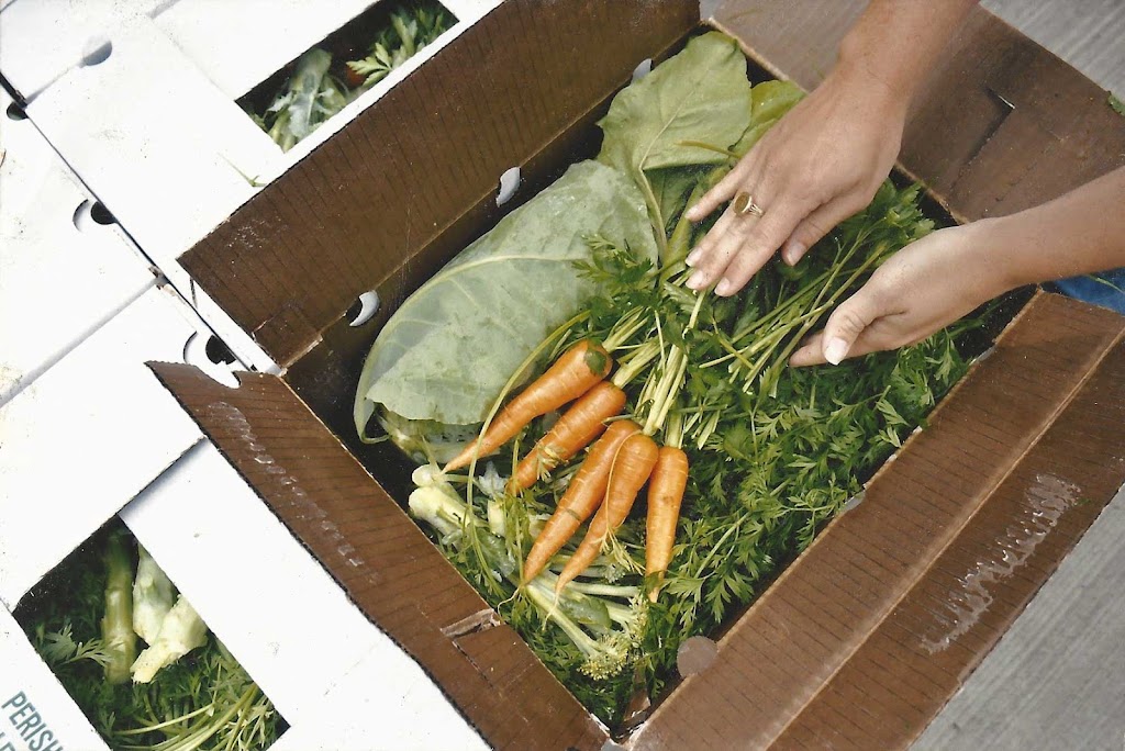 Cane Creek Valley Farm | restaurant | 1448 Cane Creek Rd, Fletcher, NC 28732, USA | 8283380271 OR +1 828-338-0271