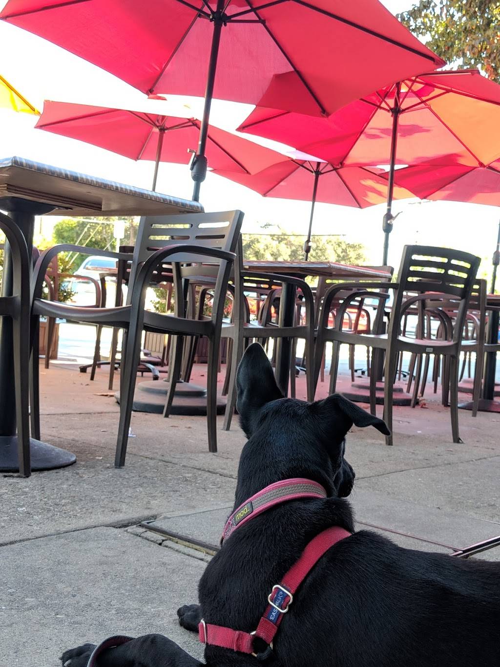 Berolina Bakery & Pastry Shop | bakery | 3421 Ocean View Blvd, Glendale, CA 91208, USA | 8182496506 OR +1 818-249-6506