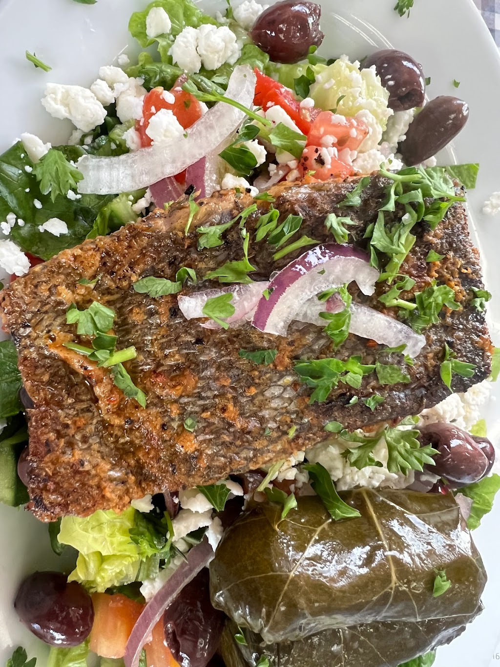 Santorini Gyro | restaurant | 1717 E Vista Chino #8, Palm Springs, CA 92262, USA | 7606998271 OR +1 760-699-8271