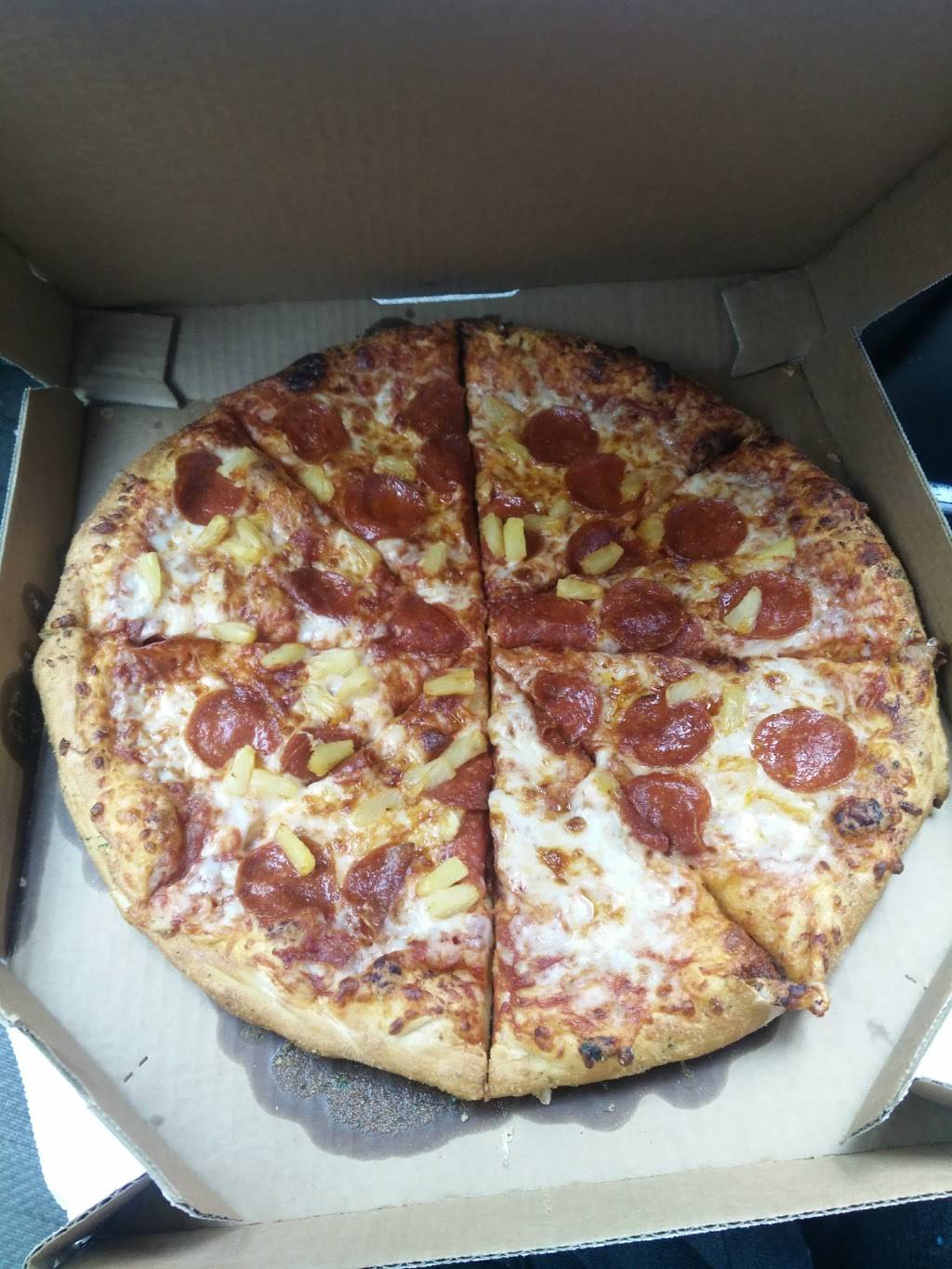 Dominos Pizza | meal delivery | 3900 Vinewood Ln N Ste 23, Plymouth, MN 55441, USA | 7635579999 OR +1 763-557-9999