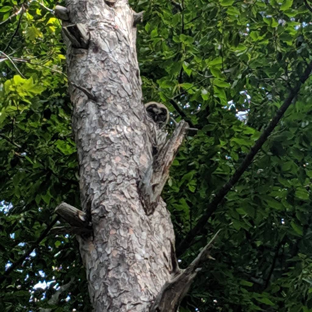 Cherry Republic Brewing Co | restaurant | 6026 S Lake St, Glen Arbor, MI 49636, USA | 2312263033 OR +1 231-226-3033