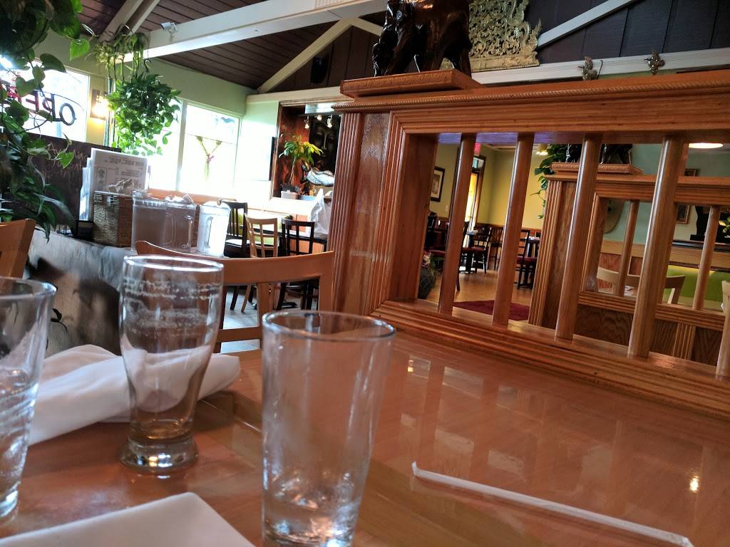 Green Papaya | restaurant | 2942 Wasson Rd, Cincinnati, OH 45209, USA | 5137310107 OR +1 513-731-0107