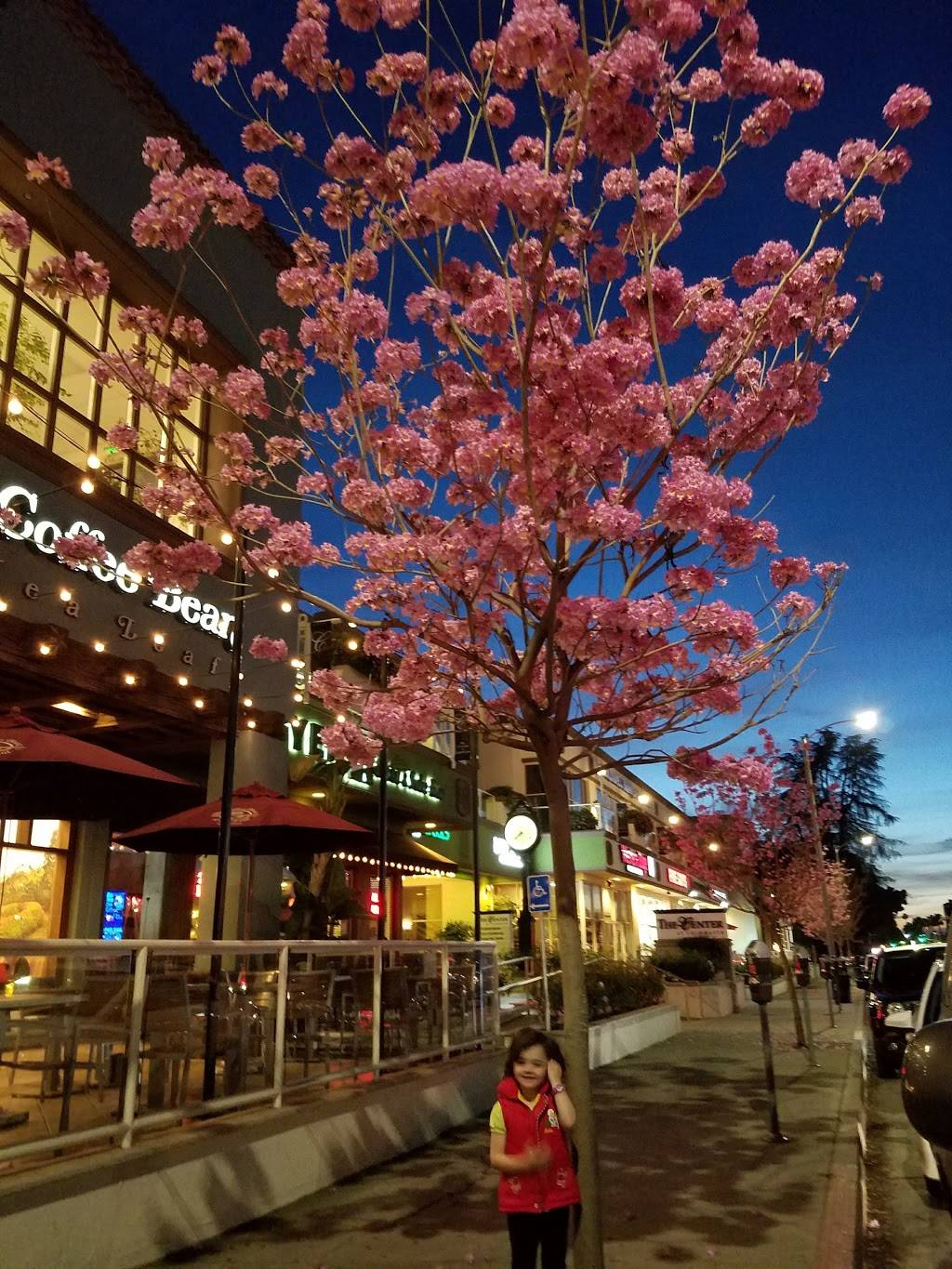 Yen Sushi & Sake Bar | restaurant | 12930 Ventura Blvd #120, Studio City, CA 91604, USA | 8189076400 OR +1 818-907-6400