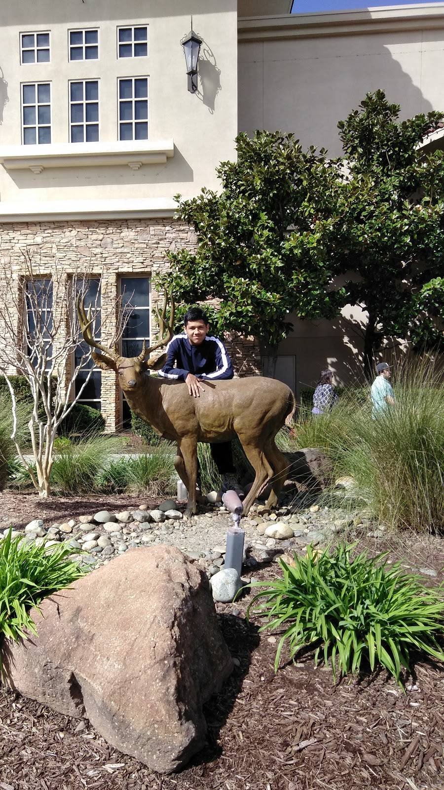 The Buffet at Thunder Valley Casino | restaurant | 1200 Athens Ave, Lincoln, CA 95648, USA | 9164087777 OR +1 916-408-7777