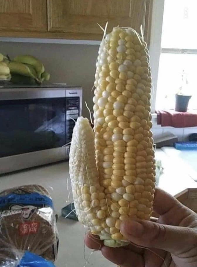 Veterans of Foreign Wars | restaurant | 300 NW 34th St, Okeechobee, FL 34972, USA | 8637630818 OR +1 863-763-0818