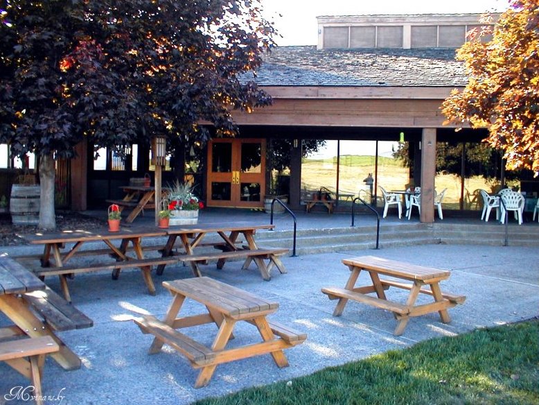Silver Lake Winery | restaurant | 1500 VINTAGE, Zillah, WA 98953, USA | 5098296235 OR +1 509-829-6235