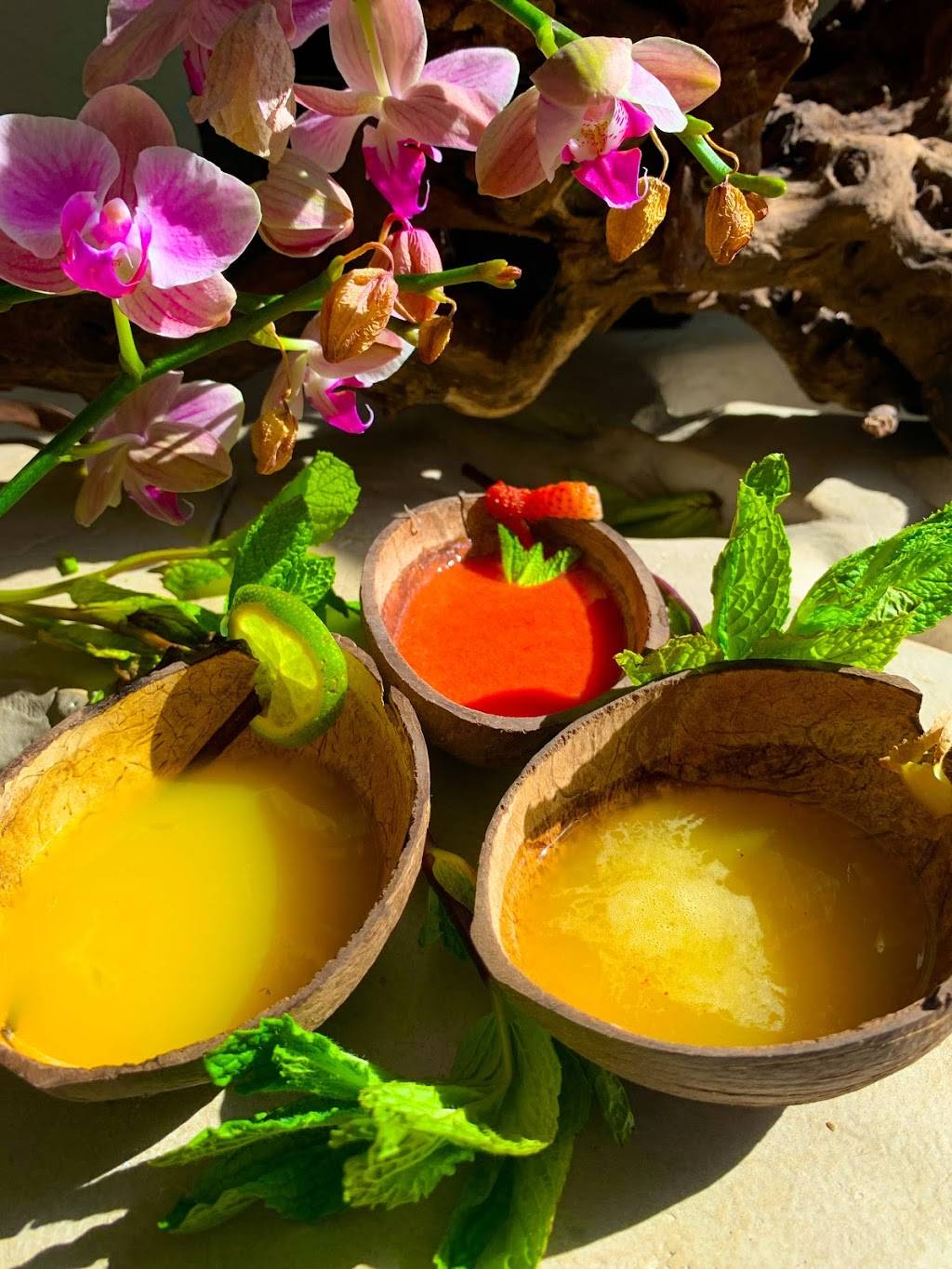 Jungle Vibes | restaurant | 1657 West Ave, Miami Beach, FL 33139, USA | 3057638116 OR +1 305-763-8116