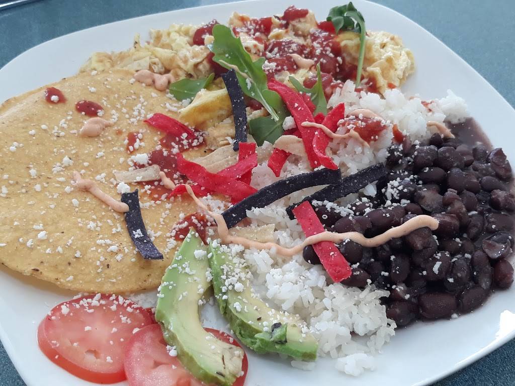 Xedav Deli | restaurant | 2657 E Atlantic Blvd, Pompano Beach, FL 33062, USA | 7863947855 OR +1 786-394-7855