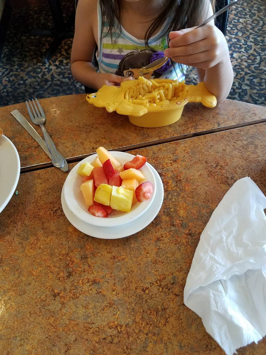 Elegance Restaurant | restaurant | 80 Northfield Dr, Brownsburg, IN 46112, USA | 3178520282 OR +1 317-852-0282