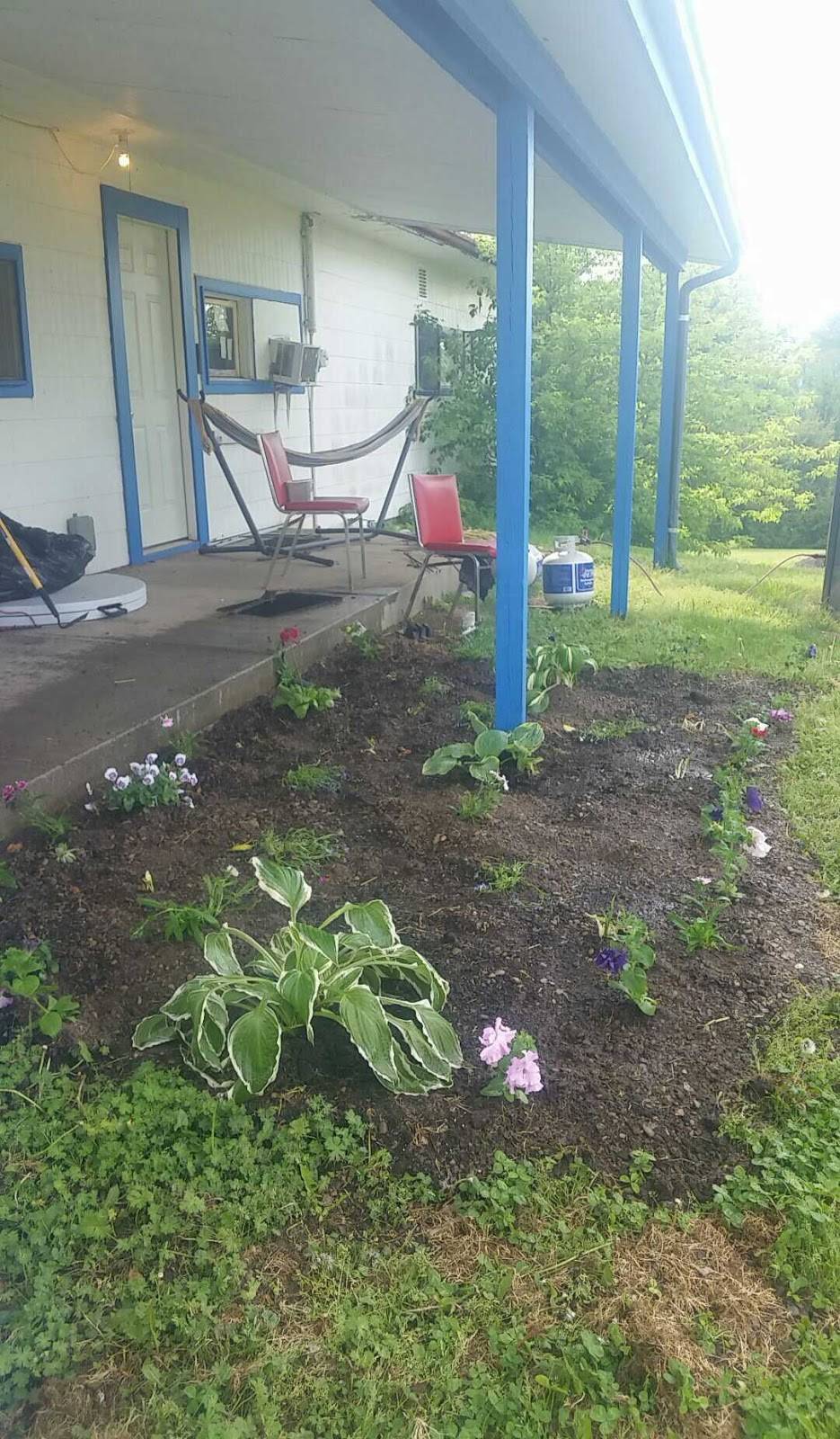 Comfort and Soul | restaurant | 8619 Talbot Trail, Cedar Springs, ON N0P 1E0, Canada | 5193594349 OR +1 519-359-4349