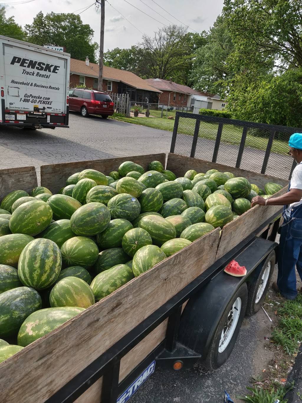 Alis Steak Fish And Chicken | restaurant | 9315 Lewis and Clark Blvd A, Jennings, MO 63136, USA | 3148683999 OR +1 314-868-3999