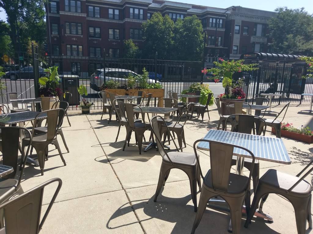 Semillas Latin Kitchen & Wine Bar | restaurant | 6764 N Sheridan Rd, Chicago, IL 60626, USA | 7735164411 OR +1 773-516-4411