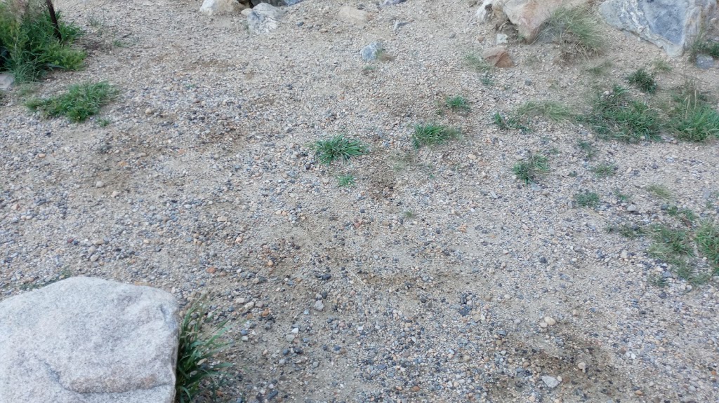 Steep Coffee Company | cafe | 23110 US-6, Keystone, CO 80435, USA | 9703330821 OR +1 970-333-0821