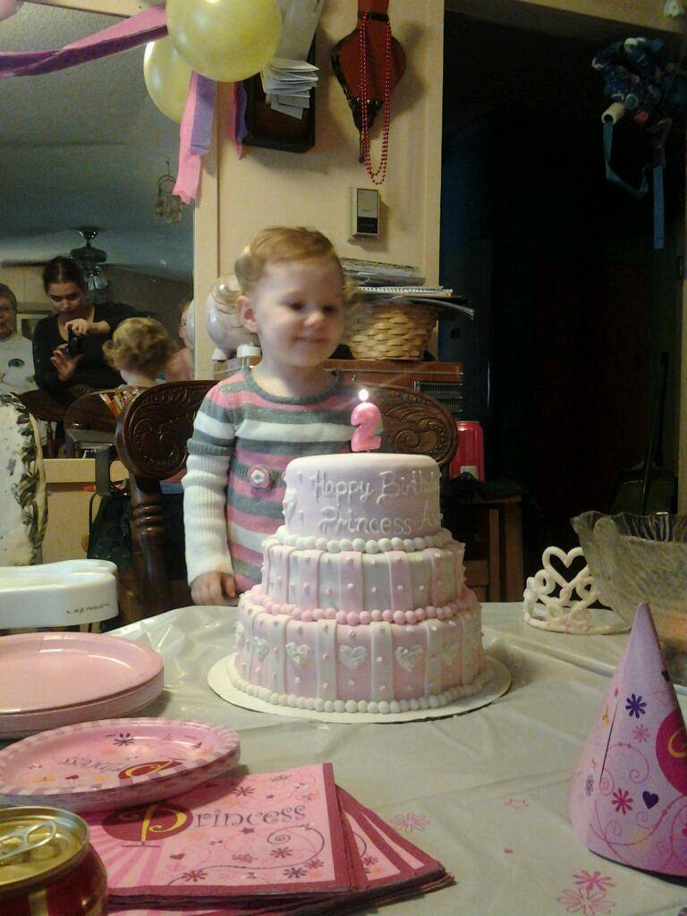 KFC | restaurant | 100 Walker St, Lexington, VA 24450, USA | 5404639622 OR +1 540-463-9622