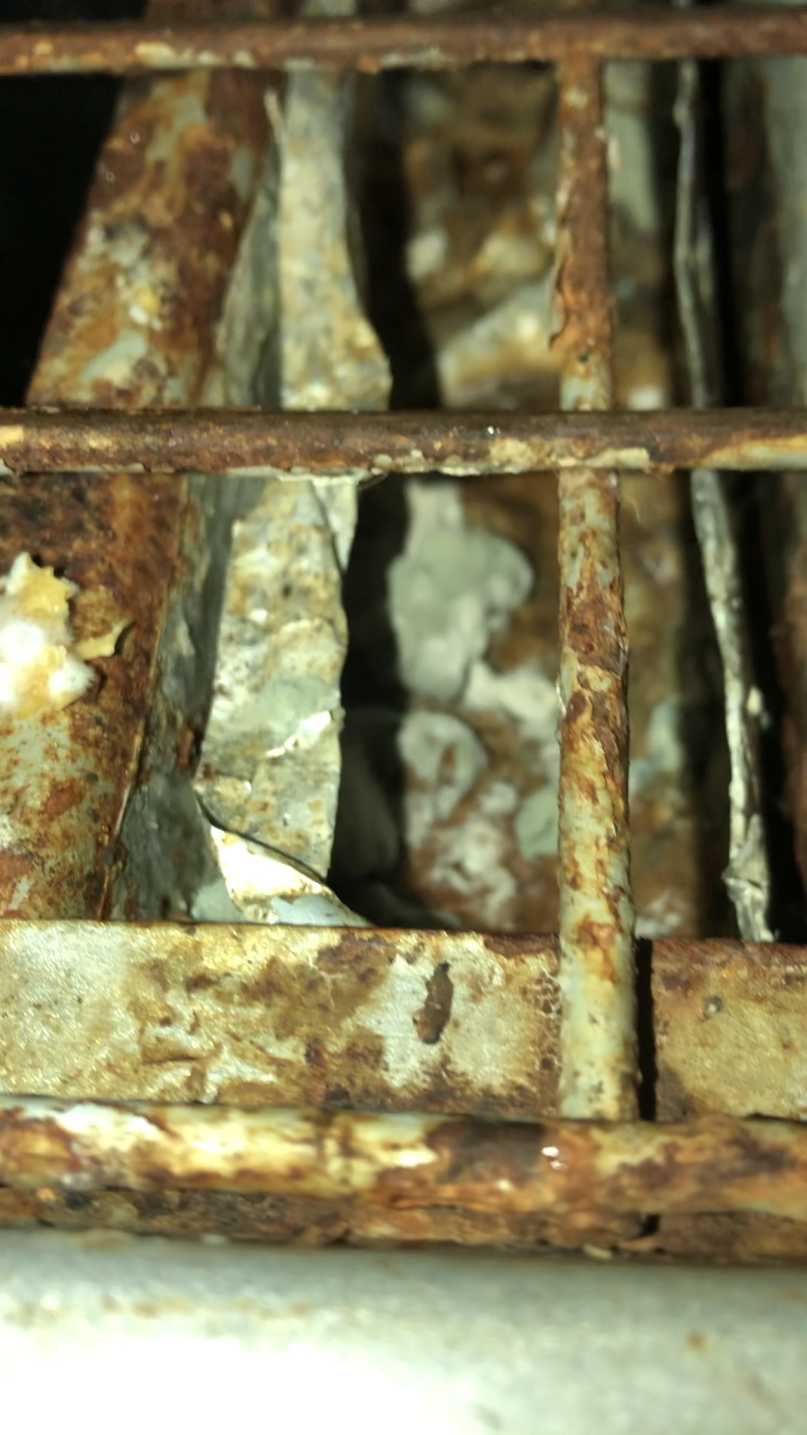 Seoul Garden | restaurant | 10441 Olive Blvd, Creve Coeur, MO 63141, USA | 3145694123 OR +1 314-569-4123